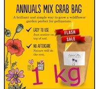 DamavandPro 1 kg Wild Flower Meadow Seeds Bee-Friendly