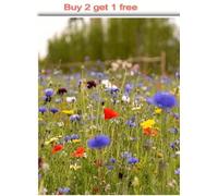 DamavandPro 1kg Wildflower Meadow Mix: Buy 2 Get 1 Free