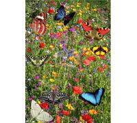 DamavandPro 1kg Wildflower Seeds UK: 21 Species for Pollinator Attraction