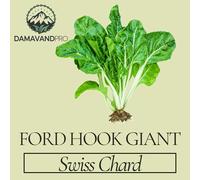 DamavandPro 70 Seeds: Swiss Chard Fordhook Giant Seeds