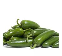 Damavandpro Anaheim Chili Pepper Seeds (50+) - Medium Hot Fresh Variety - Mild Mexican Classic