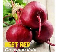 DamavandPro Beet Red Czerwona Kula