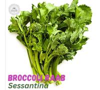 DamavandPro Broccoli Raab Seeds