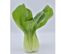 Damavandpro Cabbage Chinese Pak Vegetable Seeds For Planting Uk 1000 Seeds
