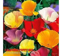 DamavandPro California Poppy Mix Seeds - 1500 Seeds