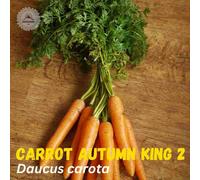 DamavandPro Carrot Autumn King 2 Seeds