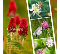 Damavandpro Clover Clover Mix Cover Crop Seed Hard Wearing Lawn Premium Tough Fast Growing 1Kg