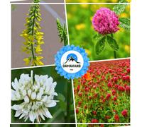DamavandPro Clovers Seeds Flower Mix - 50g