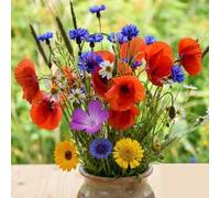 DamavandPro Cornfield Annuals Meadow Seeds Mix, RHS Pollinators Mix 5 Annual Native Variety - 3 kg