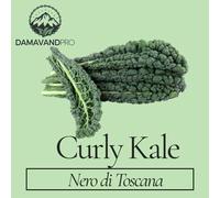 DamavandPro Curly Kale Nero di Toscana Seeds