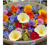 Damavandpro Edible Flowers & Herbs Seed Mix Special Wildflower Garden Salad Uk 100 Gram