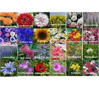 DamavandPro Flower Seed Packets: Bulk Options 24 Different