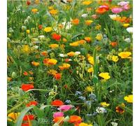 DamavandPro Japanese Flower Garden: The Essence of Japan - 100g