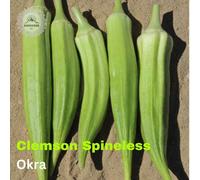 DamavandPro Okra Clemson Spineless Seeds