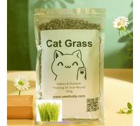 DamavandPro Premium Cat Grass Seeds for Indoor Cats - 20g