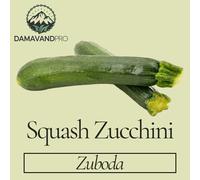 DamavandPro Squash (zucchini) Zuboda Seeds