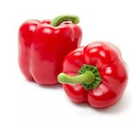 Damavandpro Yolo Wonder Bell Pepper Seeds 50 - Sweet Large Fruits - Heirloom Non-Gmo Variety