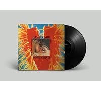 Damefrisor - Do You Think I'm Special? [7" VINYL]