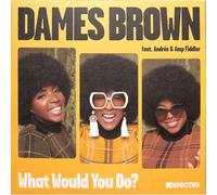 Dames Brown Featuring Andres & Amp Fiddler - What Would You Do?