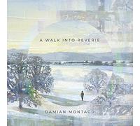 Damian Montagu - A Walk Into Reverie
