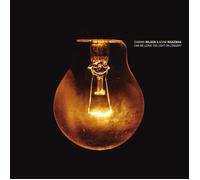 Damian Wilson & Adam Wakema Can We Leave the Light On Longer (Vinyl) (US IMPORT)
