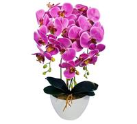 Damich Artificial Orchid in Pot Rubber - Model 3pgbb, with Moss, 60 cm High, 3 Stems with Many Flowers (Pink)