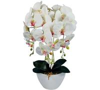 Damich Artificial Orchid in Pot Rubber - Model 3pgbb, with Moss, 60 cm High, 3 Stems with Many Flowers (White with Pink Heart)