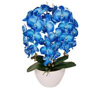 Damich artificial orchid, made of rubber, white pot, 3pgrk2, blue