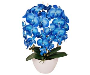 Damich artificial orchid, made of rubber, white pot, 3pgrk2, blue