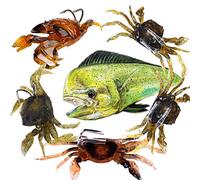 DAMIDEL 5 Pcs 3 Colors Simulation Fishing Lures Baits, 3D Simulated Crab Soft Bait Kit, Built-in Lead Blocks Sinking Slowly Fishing Bait for Freshwater, Saltwater NEW