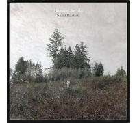 Damien Jurado - Saint Bartlett