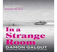 Damon Galgut In a Strange Room Paperback Book Damon Galgut Multicolor