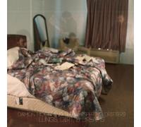 Damon Moon & the Whispering Dr - Lungs Dirt & Dreams