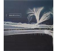 Damon Wild - Colortheory [VINYL]