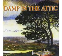 Damp in the Attic - I Was...Flying It
