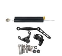 Dampers Stabilizer Steering Modified Titanium Ruler, Damper Bracket, Anti Shake Head Motorbike Steering Damper For Ducati For Monster 950/937 21-24(Black-B)