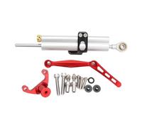 Dampers Stabilizer Steering Modified Titanium Ruler, Damper Bracket, Anti Shake Head Motorbike Steering Damper For Ducati For Monster 950/937 21-24(Silver-B)