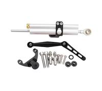 Dampers Stabilizer Steering Modified Titanium Ruler, Damper Bracket, Anti Shake Head Motorbike Steering Damper For Ducati For Monster 950/937 21-24(Silver-A)