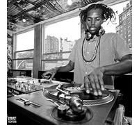Damu The Fudgemunk - Public Assembly [VINYL]