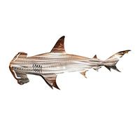 DAMX Metal Shark Wall Art,10"/20" Multicolor Shark Metal Art Wall Decoration Living Room Bedroom Home Garden Decoration Easy to Hang (4 Styles (C)