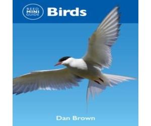 Dan Brown Reed Mini Guide: Birds Paperback Book Dan Brown Multicolor