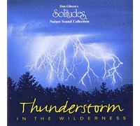 Dan Gibson - Thunderstorm in the Wilderness