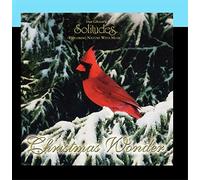 Dan Gibson's Solitudes - Christmas Wonder
