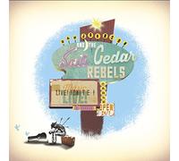 DAN JOHNSON - Dan Johnson and The Salt Cedar Rebels