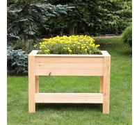 Dan Larch Timber Shallow Planter With Self 800X400mm