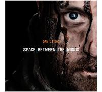 Dan Le Sac - Space Between The Words