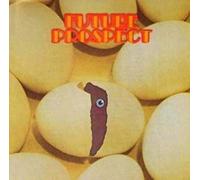 Dan Siegel - Future prospect (1987) / Vinyl record [Vinyl-LP]