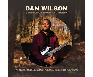 Dan Wilson : Vessels of Wood and Earth CD (2021) NEW Fast and FREE P & P