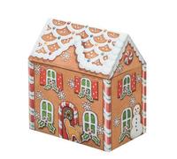 Dana Kubrick Large Gingerbread House Storage Tin With Lid