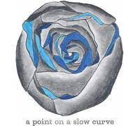Dana Lyn : A Point On a Slow Curve CD (2022) NEW FREE Shipping, Save £s